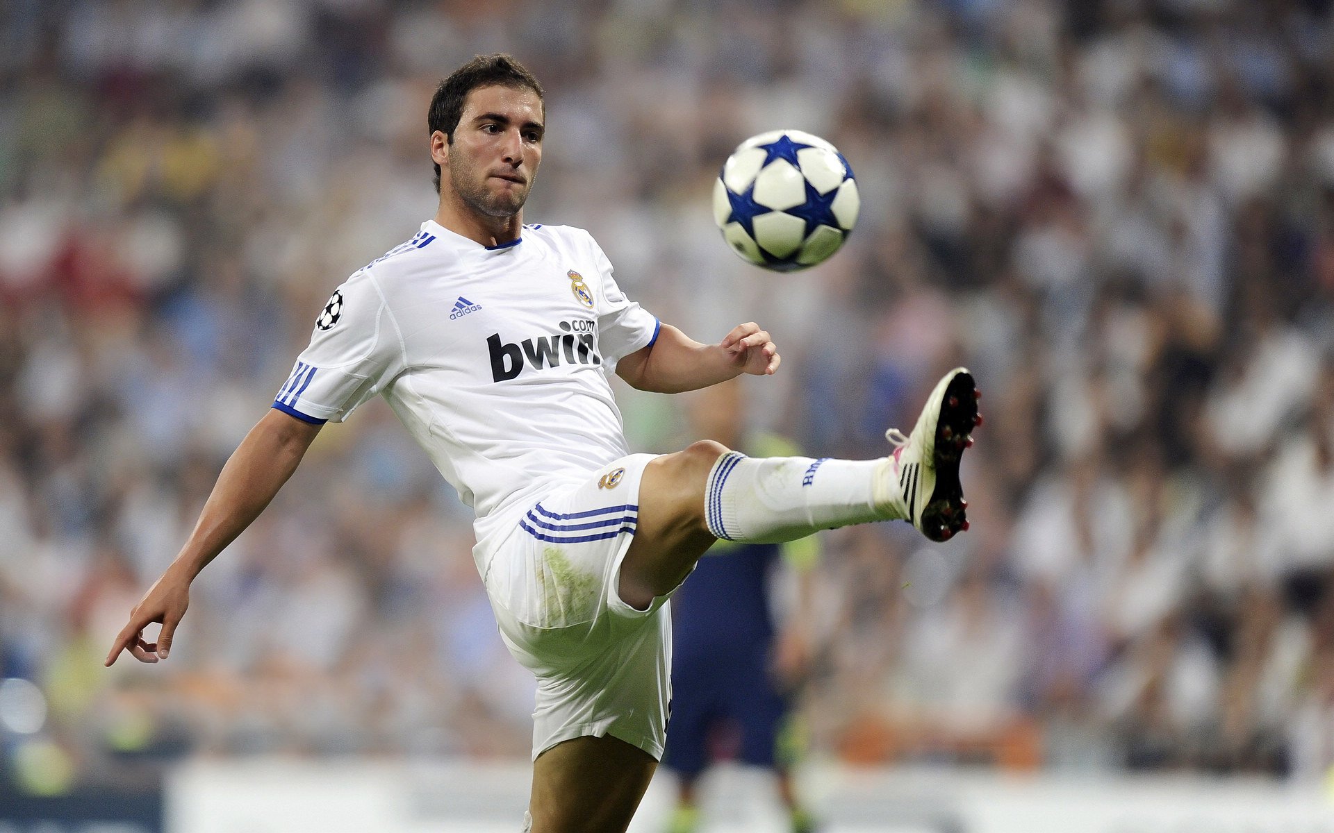 乌鸦进攻火力十足,防守端同样稳固,乌鸦的攻击方式